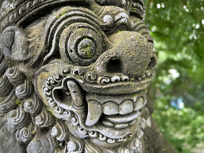 Bali